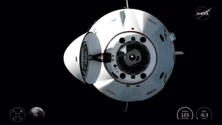 Four people on NASA’S Crew-12 arrive at International Space Station : NPR