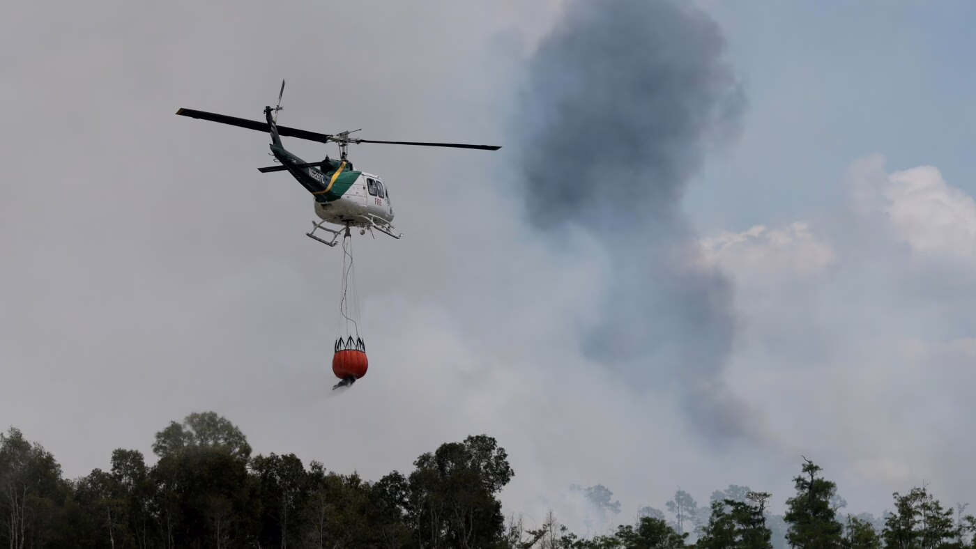 Trump administration’s new wildfire agency preps for fire season : NPR