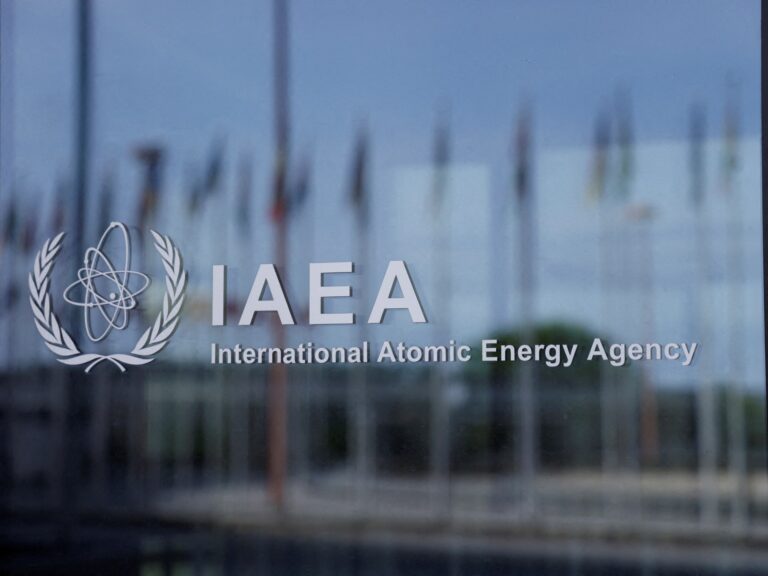 El organismo de control de la ONU advierte sobre el tráfico nuclear | Noticias de las Naciones Unidas