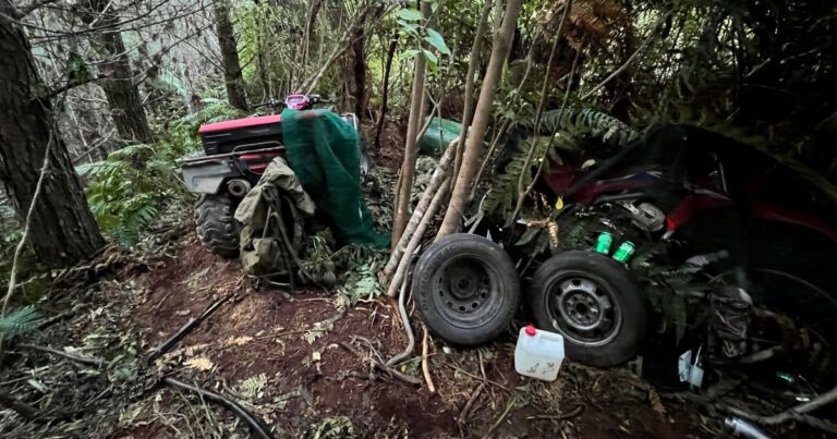 El padre muerto de Nueva Zelanda mantuvo las armas con armas, según la policía | Noticias del crimen