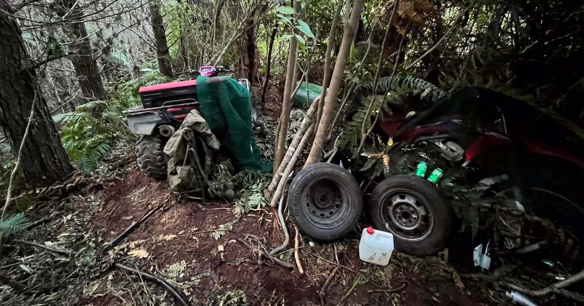 El padre muerto de Nueva Zelanda mantuvo las armas con armas, según la policía | Noticias del crimen