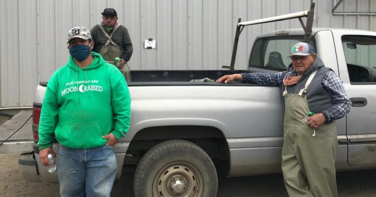 Trabajadores agrícolas de California celebran nuevas viviendas en una ciudad marcada por tiroteos masivos | Noticias de vivienda